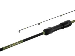 Delphin reaCtion Delphin reaCtion