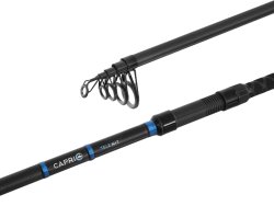 Delphin CAPRI Tele NXT Delphin CAPRI Tele NXT