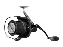 Delphin SPODCAST Delphin SPODCAST