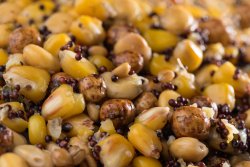 Partikl mix premium 5kg Partikl mix premium 5kg