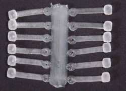 Silikonová zarážka na boilies vel.L Silikonová zarážka na boilies vel.L