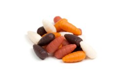 Umělé červi FAITH Casters plovoucí 10mm/20ks Umělé červi FAITH Casters plovoucí 10mm/20ks