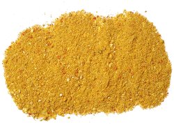 V1 CARP - Med V1 CARP - Med