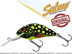 Wobler Hornet H2S barva BE