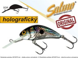 Wobler Hornet H4SDR barva BSS Wobler Hornet H4SDR barva BSS