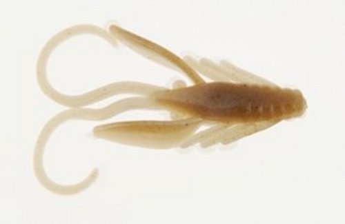 Berkley Nymph PowerBait 2,5 cm 12 ks Toad
