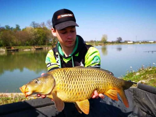 Carp Food Boosted Hookers - dipované boilies 18 mm 300g Total Scopex