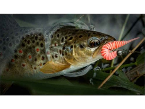 Dipované umělé nástrahy FishUP Tanta 38mm / 10ks Coffee Milk / Light o