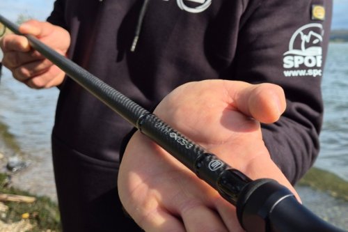 Kaprařský prut Sportex D.N.A CS-3 carp 2-díl