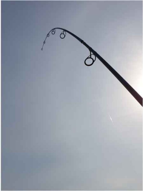 Kaprové pruty Sportex Catapult CS-3 Carp 2-díl 2ks: 12ft 3,00lbs, 366cm M80