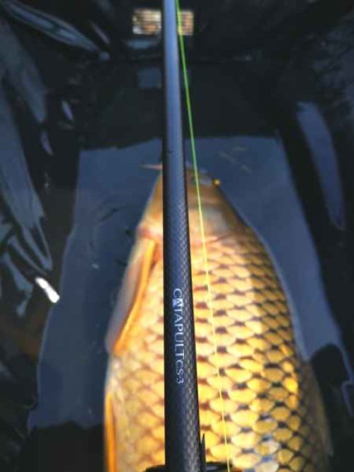 Kaprové pruty Sportex Catapult CS-3 Carp 2-díl 2ks: 12ft 3,00lbs, 366cm M80