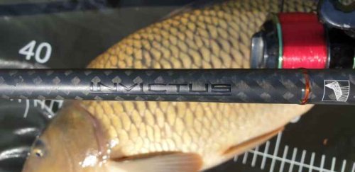 Kaprový prut Invictus Carp, 2 díl 366cm / 3,00lbs