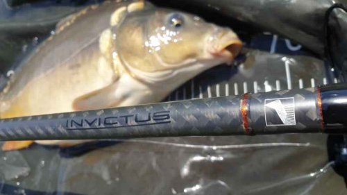 Kaprový prut Invictus Carp, 2 díl 366cm / 3,00lbs