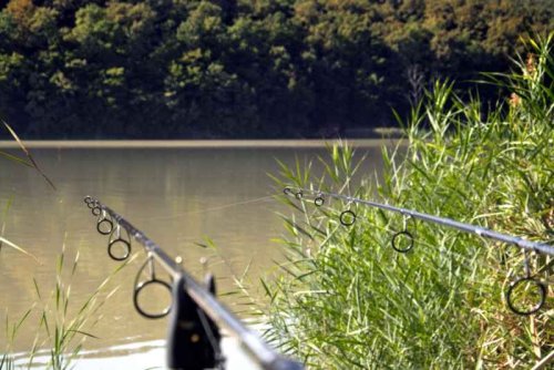 Kaprový prut Revolt Carp 2-díl 365cm 3,25lb