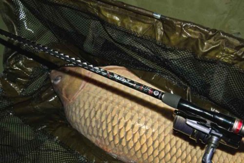 Kaprový prut Revolt Carp 2-díl 365cm 3,25lb