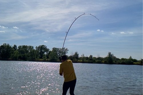 Kaprový prut SPORTEX Catapult CS-4 Carp 12ft 3,00lbs