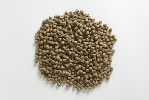 Pelety Rapid Turbo (1kg | 20mm)