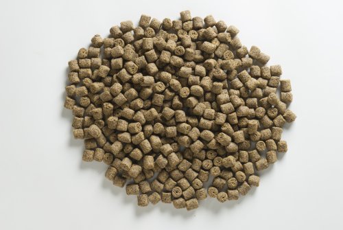 Pelety Rapid Turbo (1kg | 20mm)