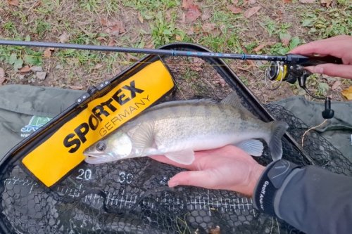 Přívlačový prut Sportex Black Arrow G4 Spin 2-díl 240cm / 10g