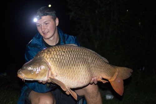 TB Carp Food Boilies 18mm/1kg Ananasový juice