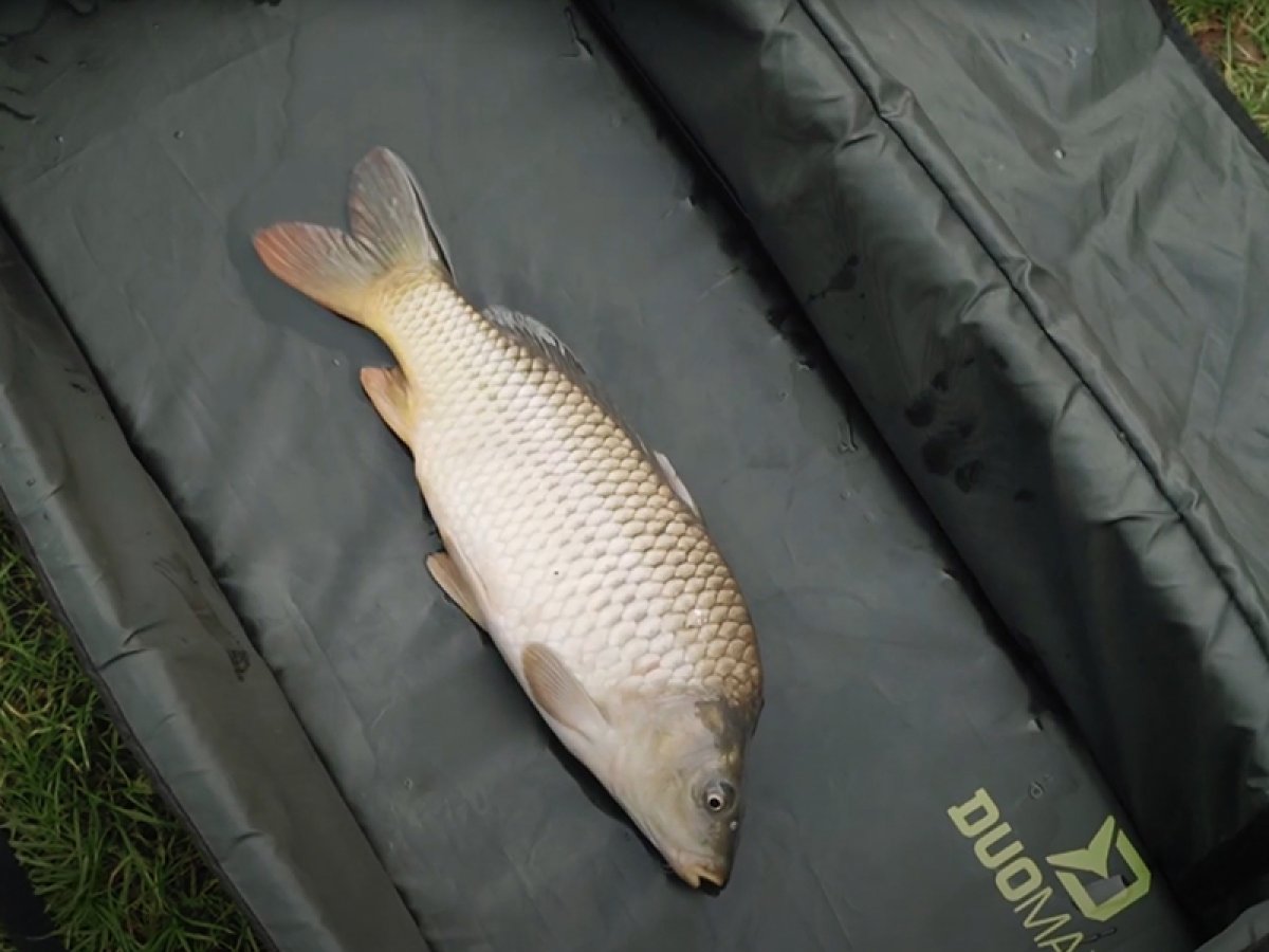 Podložka s okraji Delphin DuoMAT XXL