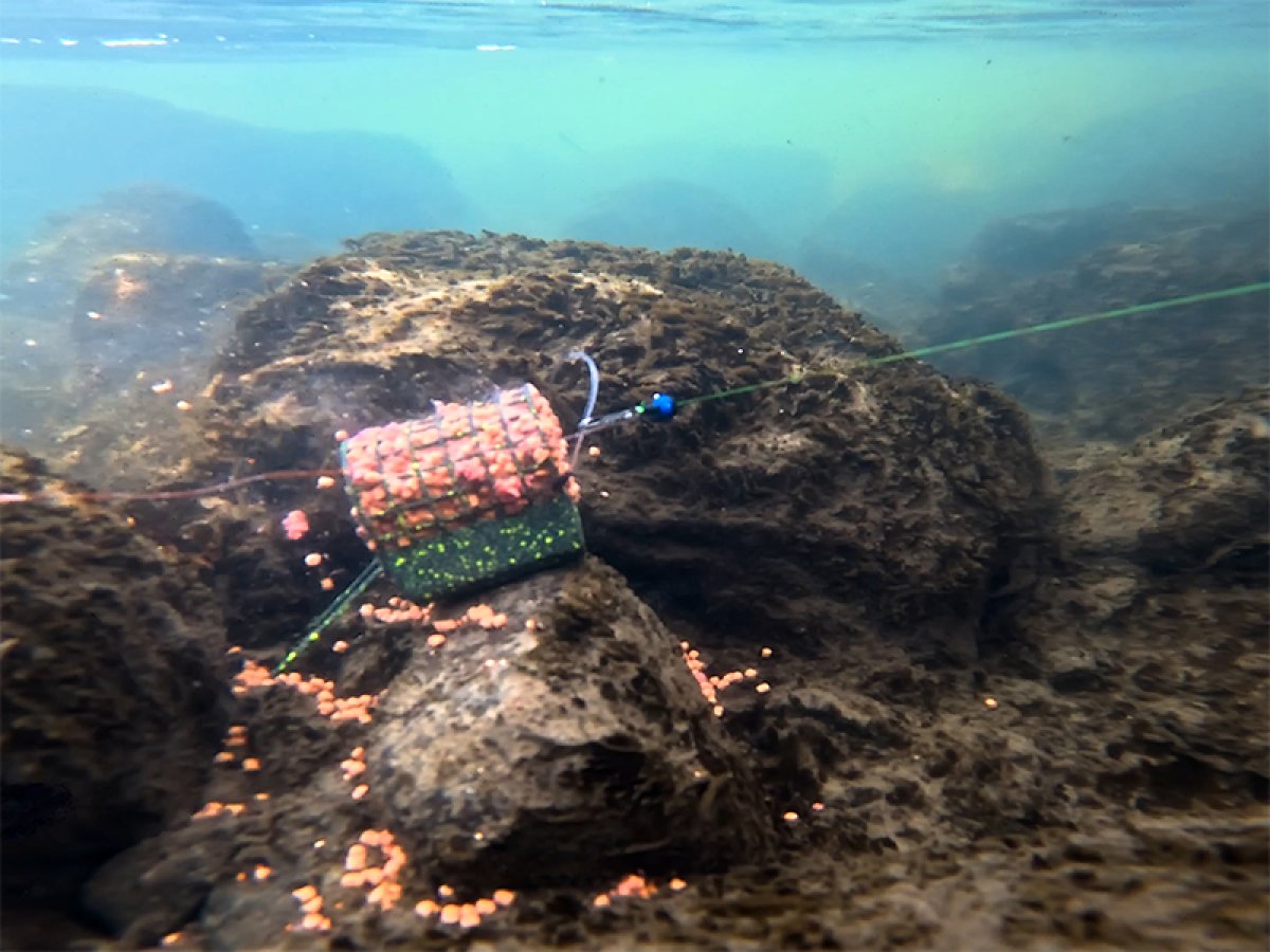 Krmítko s olověnou zátěží Delphin RiverSTIX