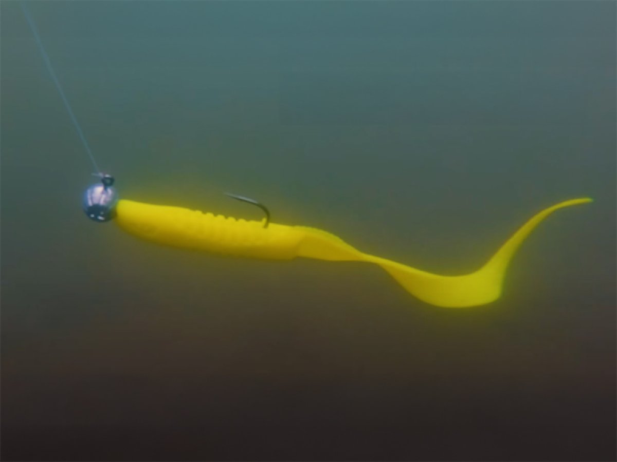 Jigová hlava s držákem Delphin TYRE / 5ks
