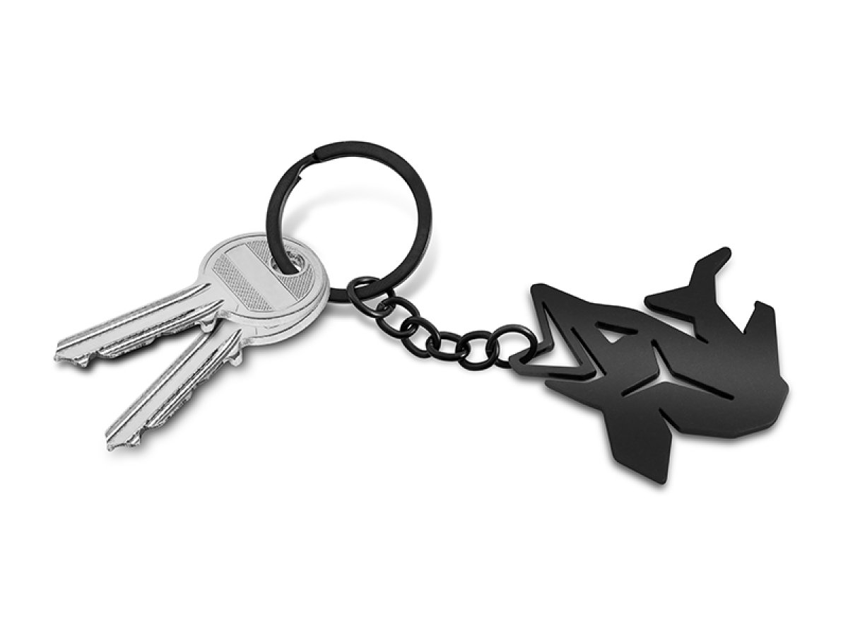 Klíčenka s otvírákem na láhve Delphin PIKENER 113