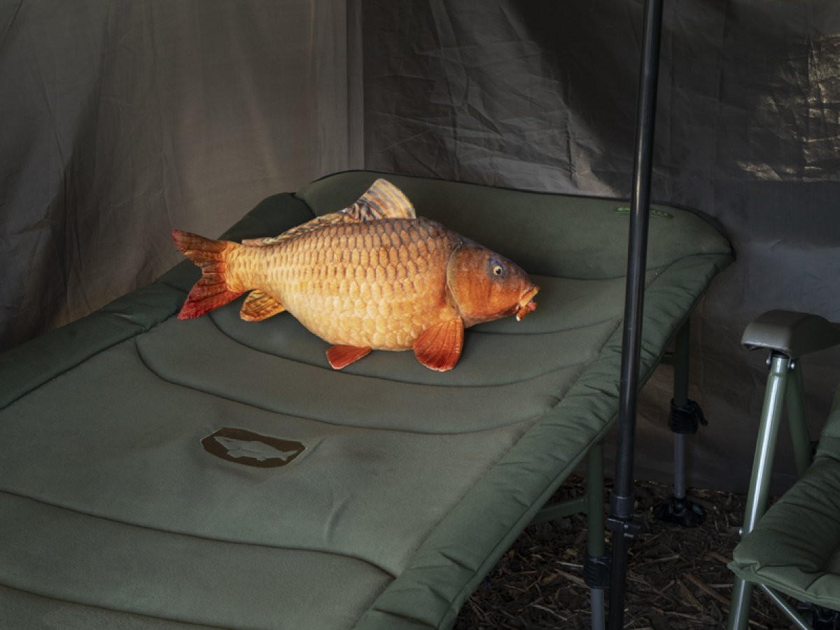 Plyšový kapr Delphin CARPY