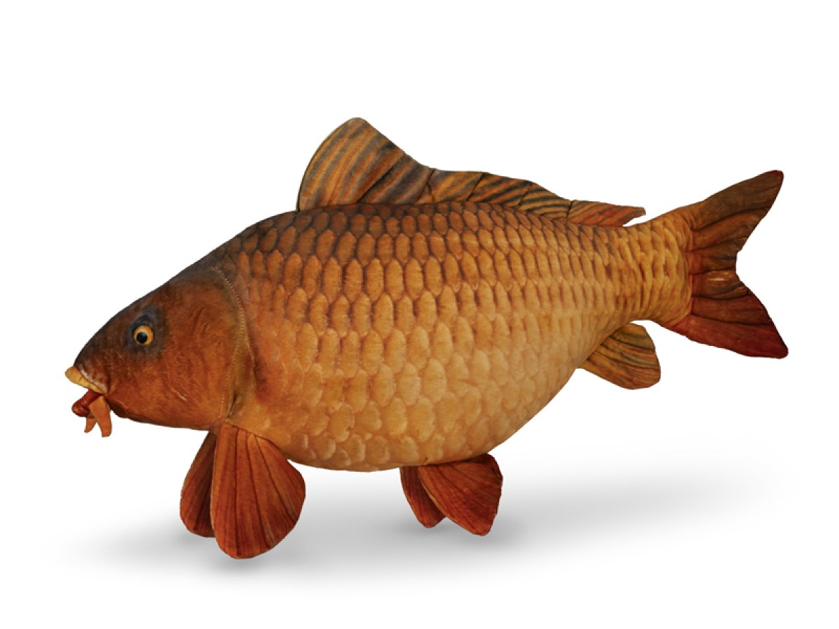 Plyšový kapr Delphin CARPY