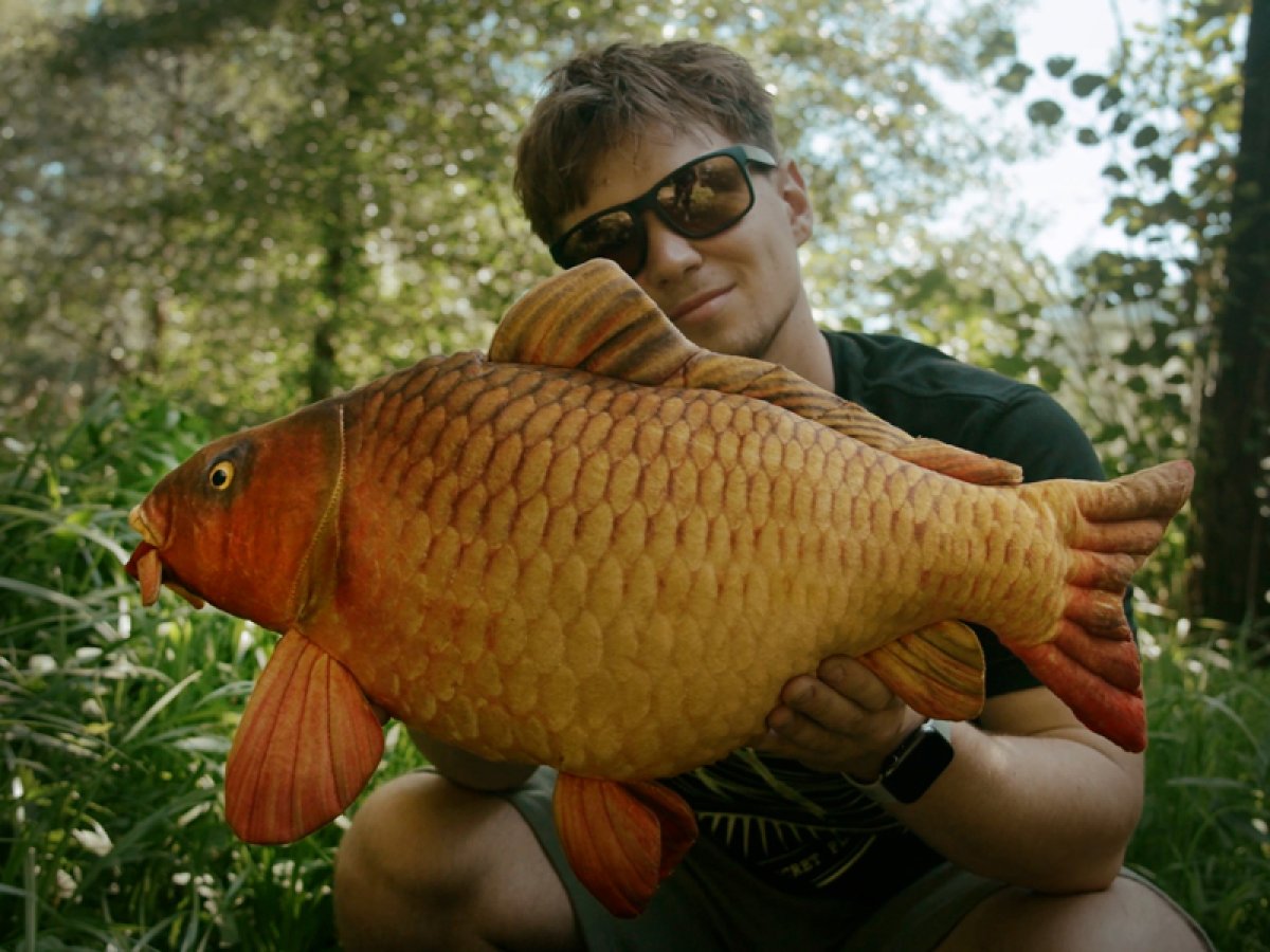Plyšový kapr Delphin CARPY