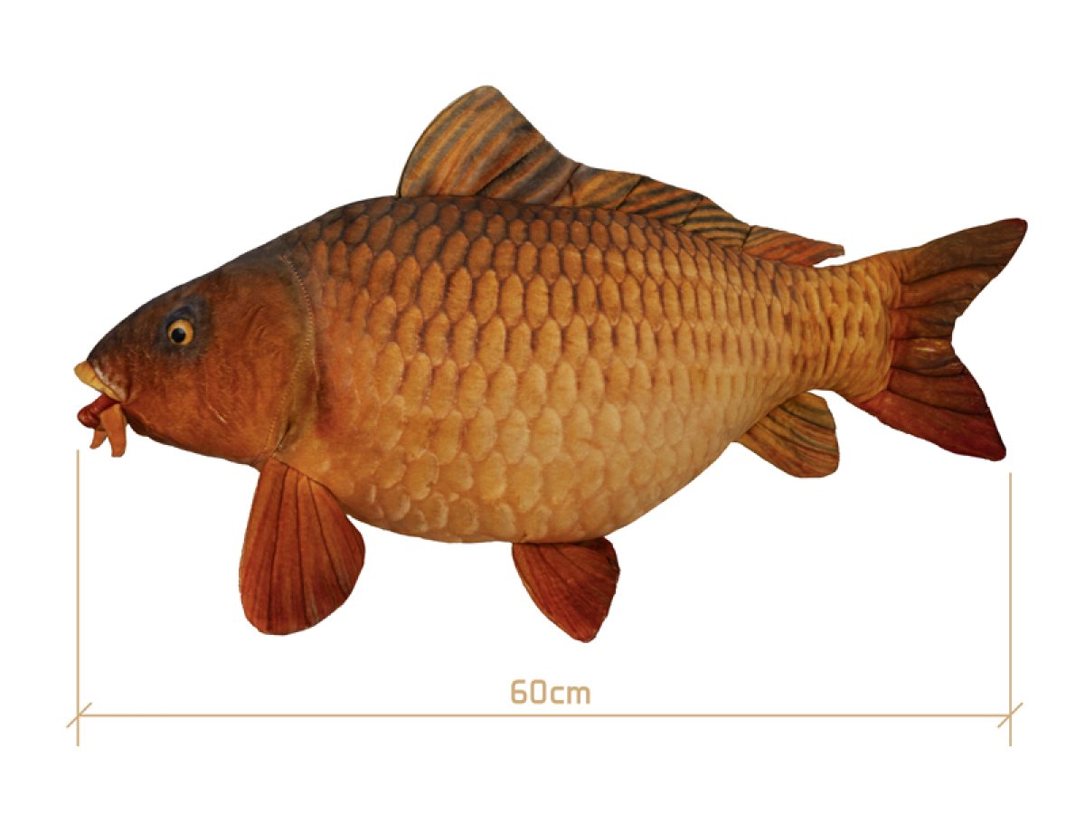 Plyšový kapr Delphin CARPY