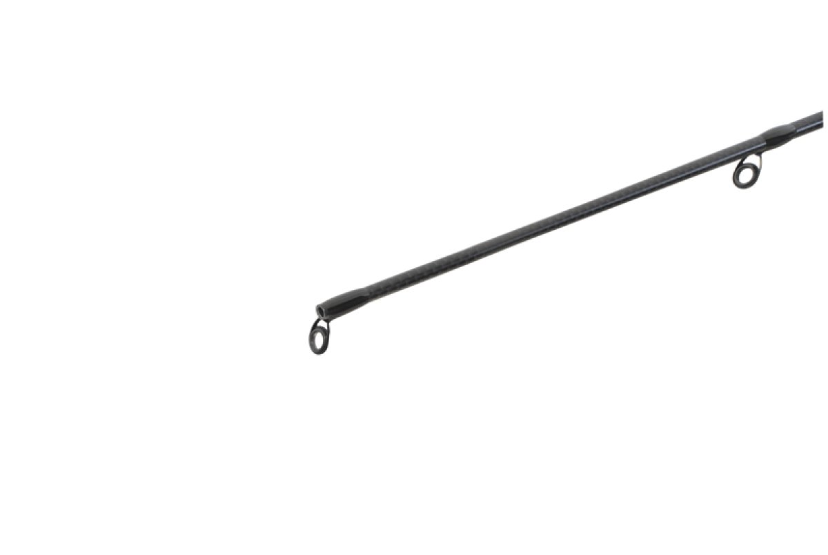 Delphin DIMENZIA