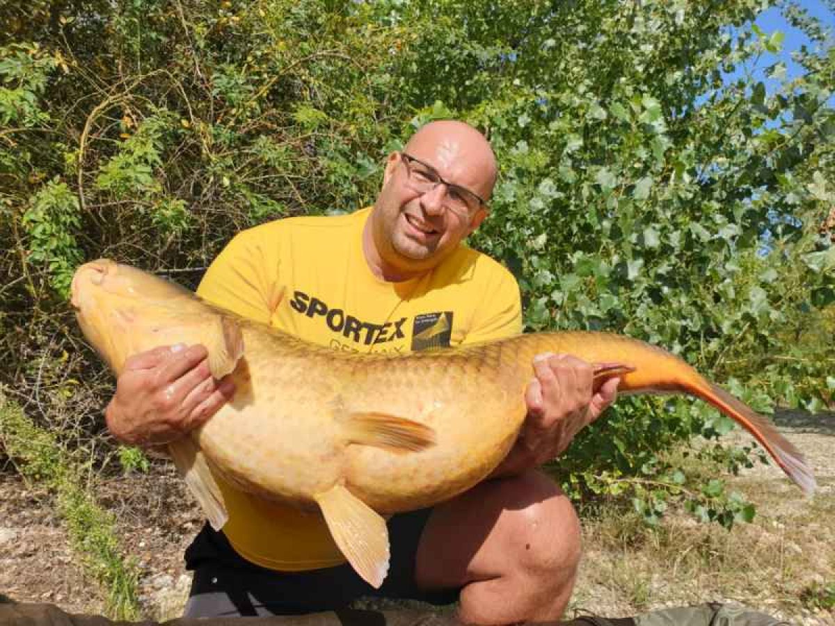 Beyond Carp 2-díl 366cm / 2,75lbs