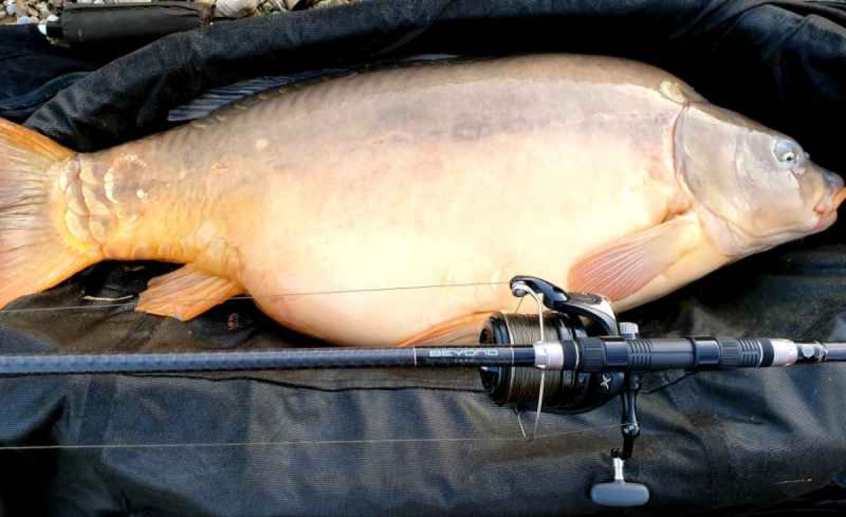 Beyond Carp 2-díl 366cm / 2,75lbs