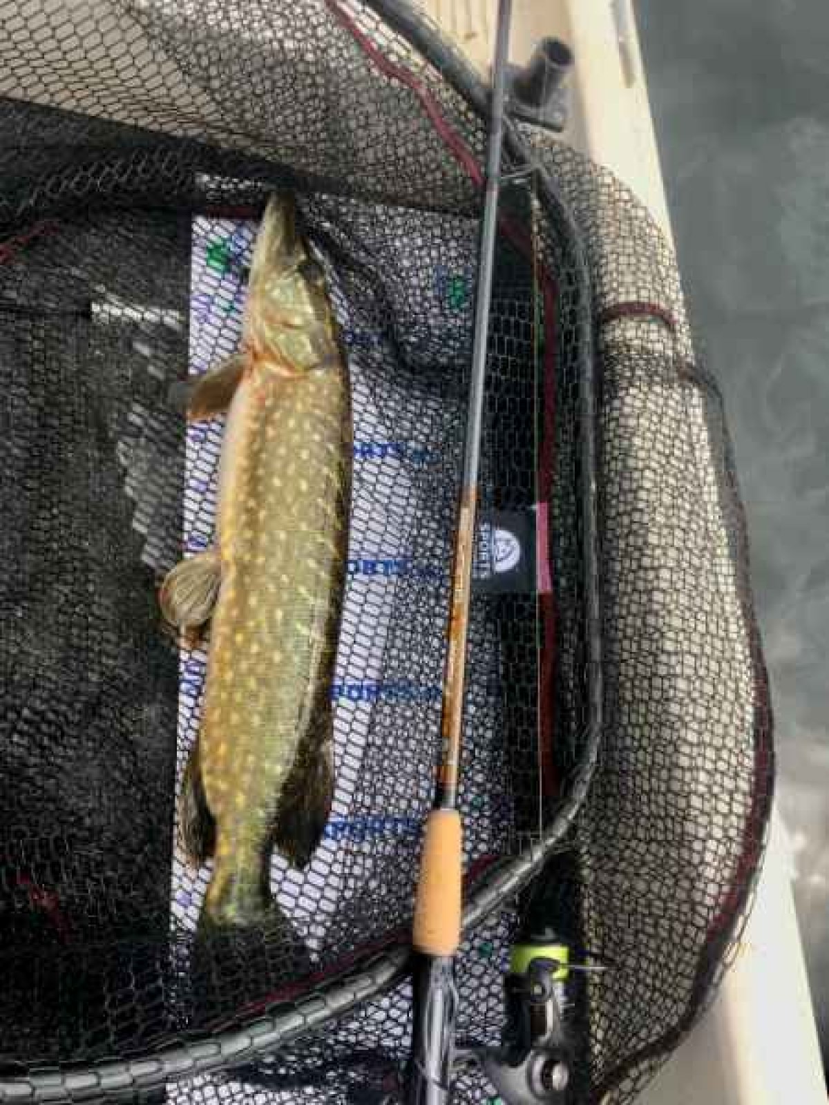 Beyond Spin 2-díl 240cm / 40g