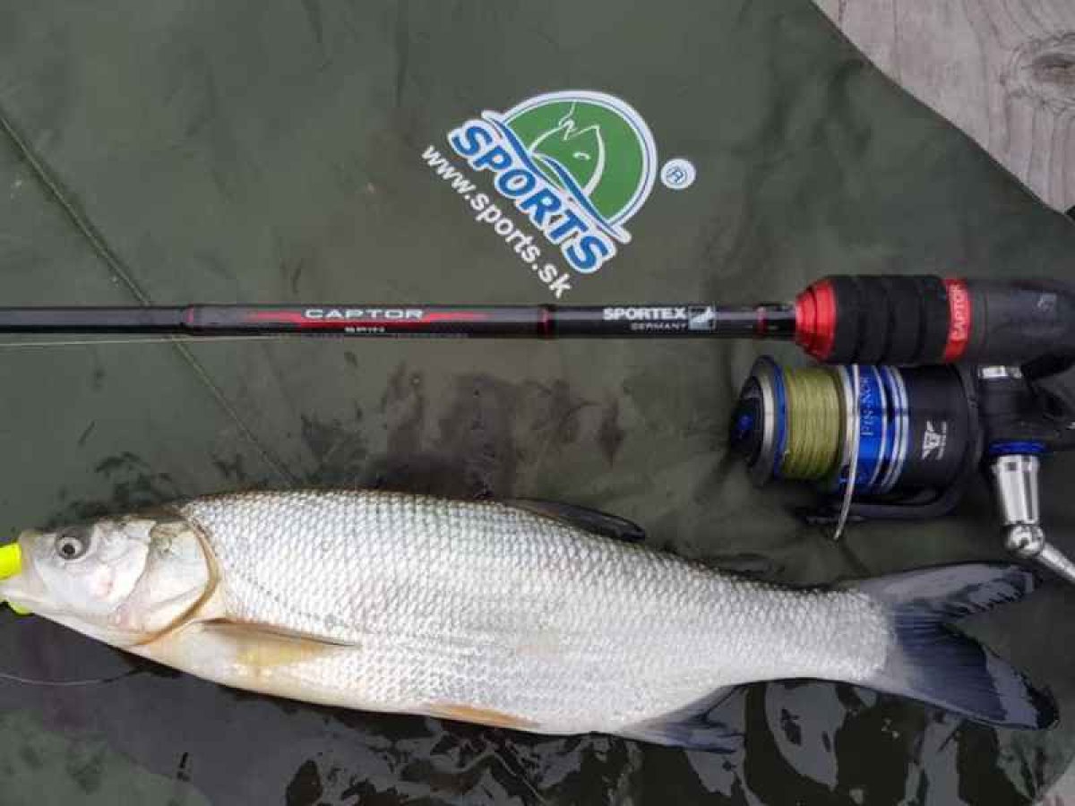 Captor Spin 2-díl,210cm, 12-28g
