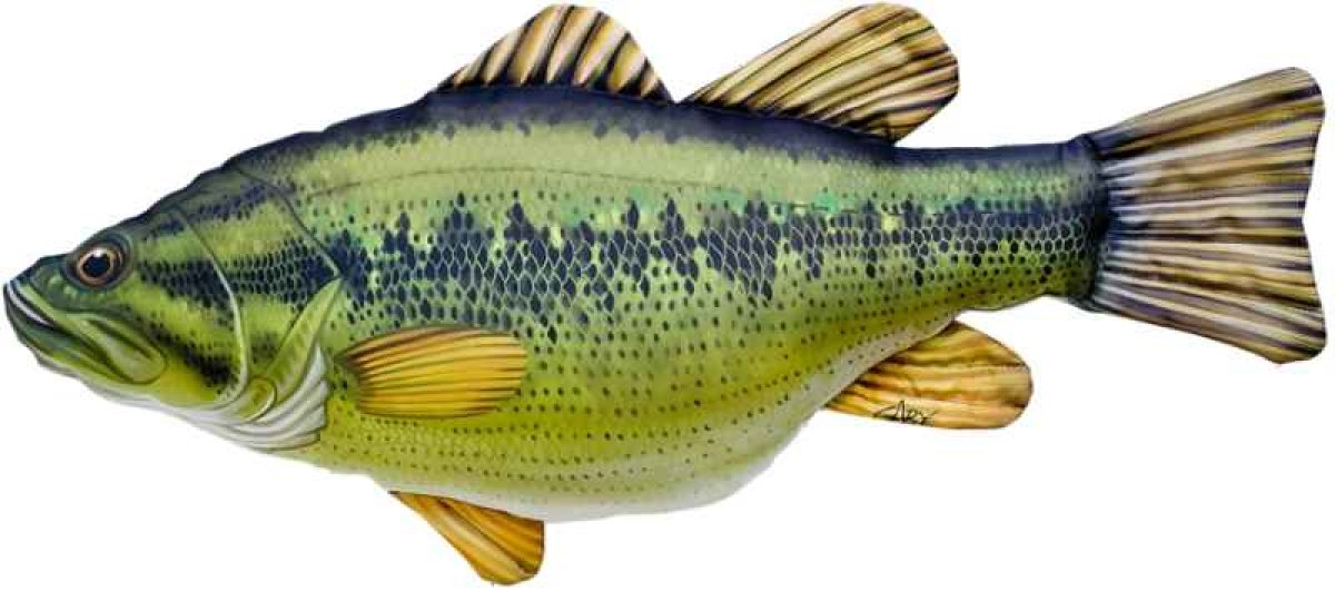 Dekorační polštář - Bass