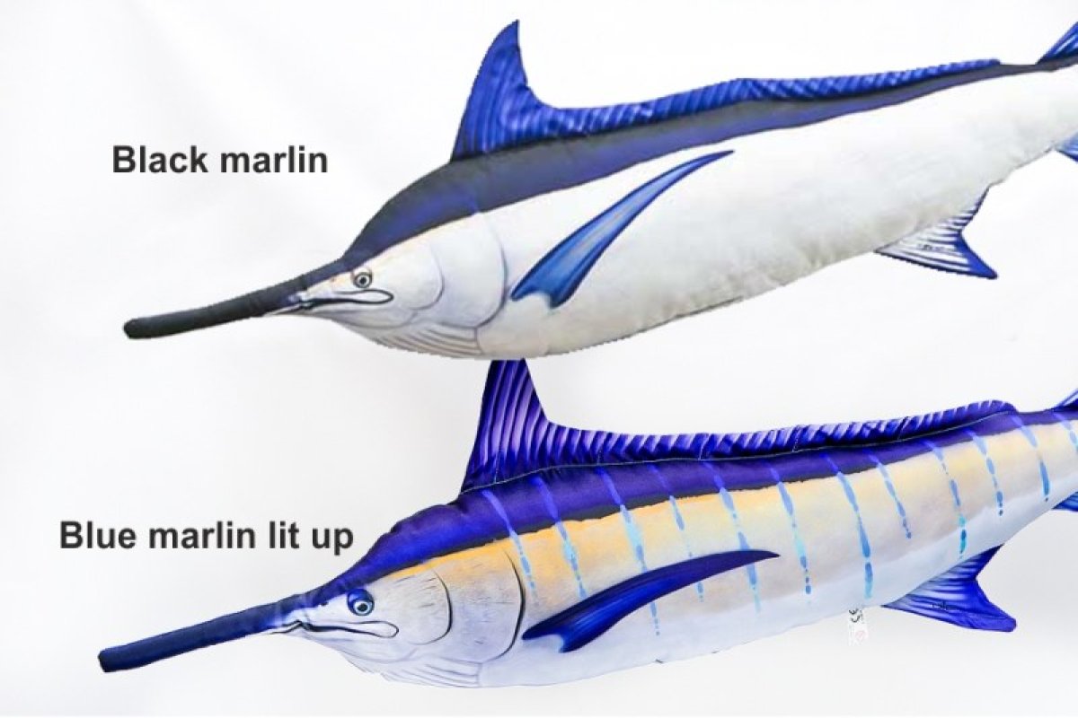 Dekorační polštář - Blue Marlin lit up 118cm