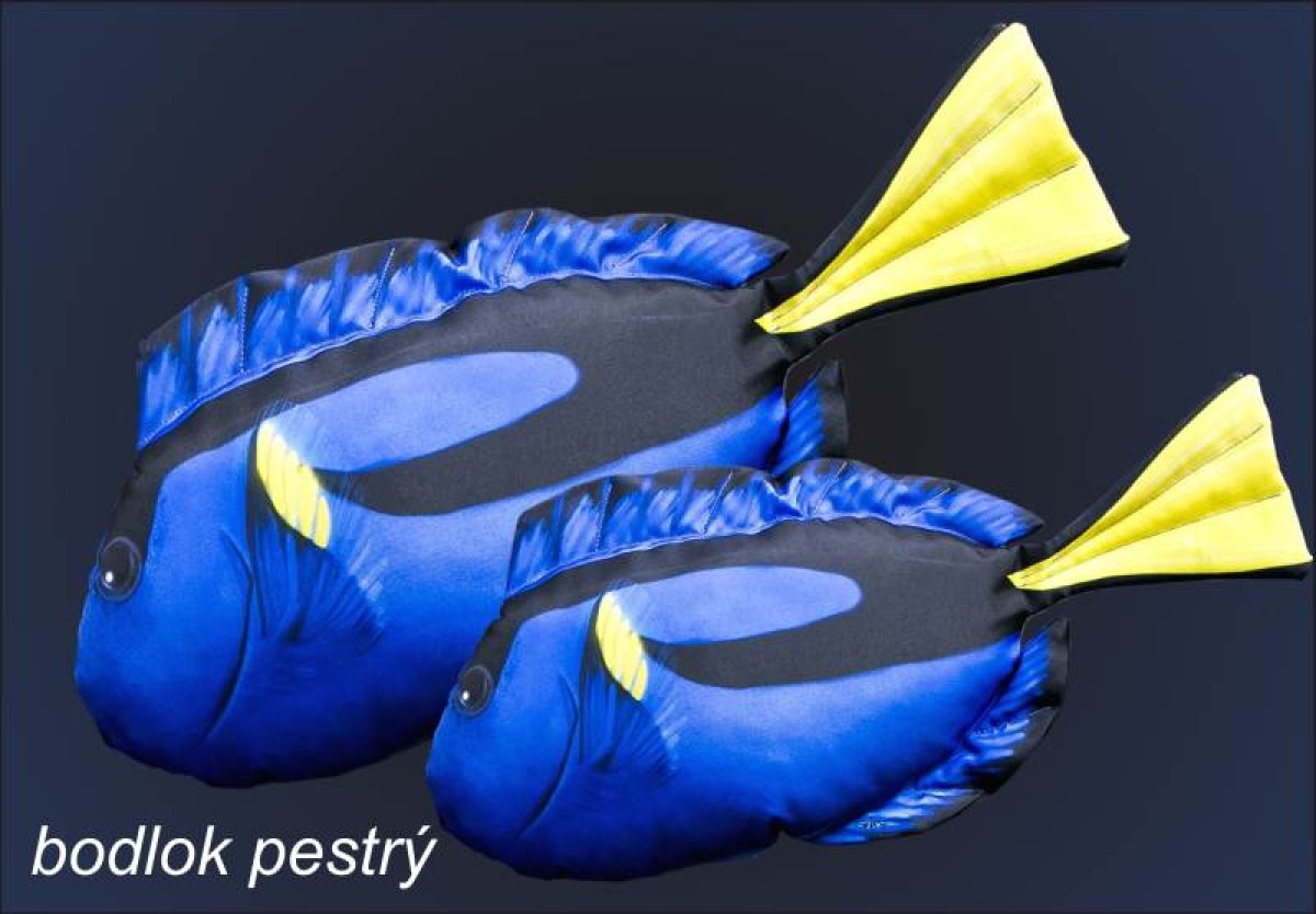 Dekorační polštář - Bodlok pestrý 56cm