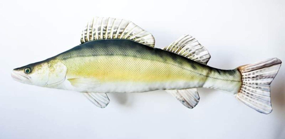 Dekorační polštář - Candát 77cm