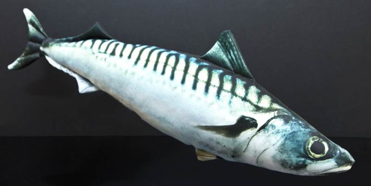 Dekorační polštář - MAKRELA 50cm