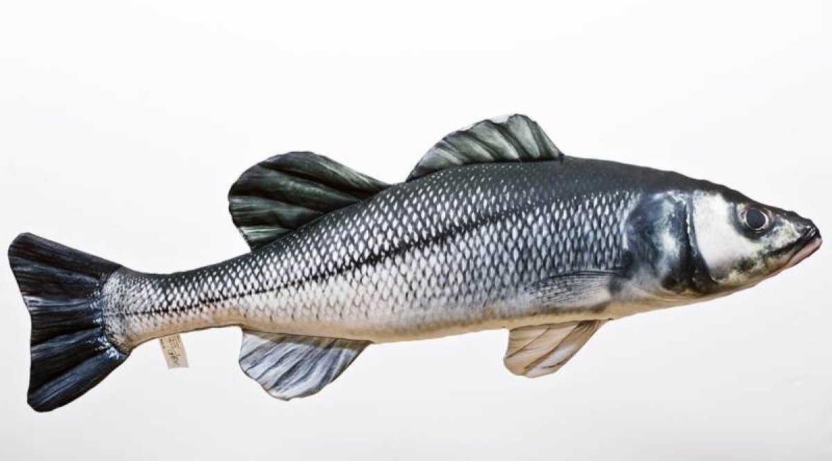 Dekorační polštář - MOŘSKÝ okoun 70cm