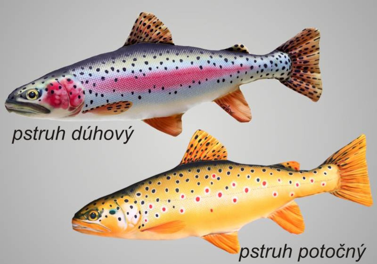Dekorační polštář - Pstruh mini 35-45cm
