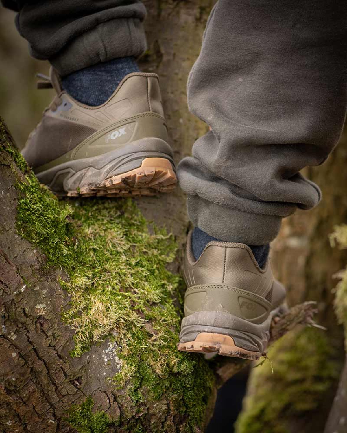 Fox Explorer Trainers