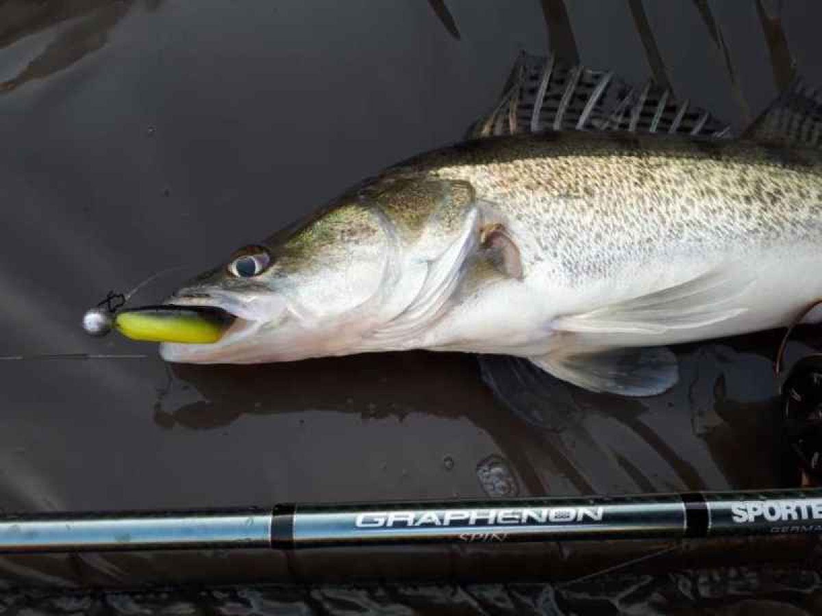 Graphenon Spin 2-díl 270cm / 40g