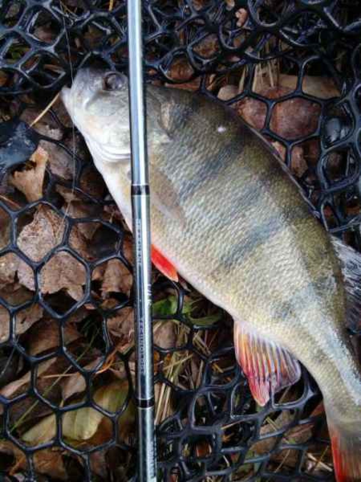 Graphenon Ultra Light 2-díl 210cm / 1-7g