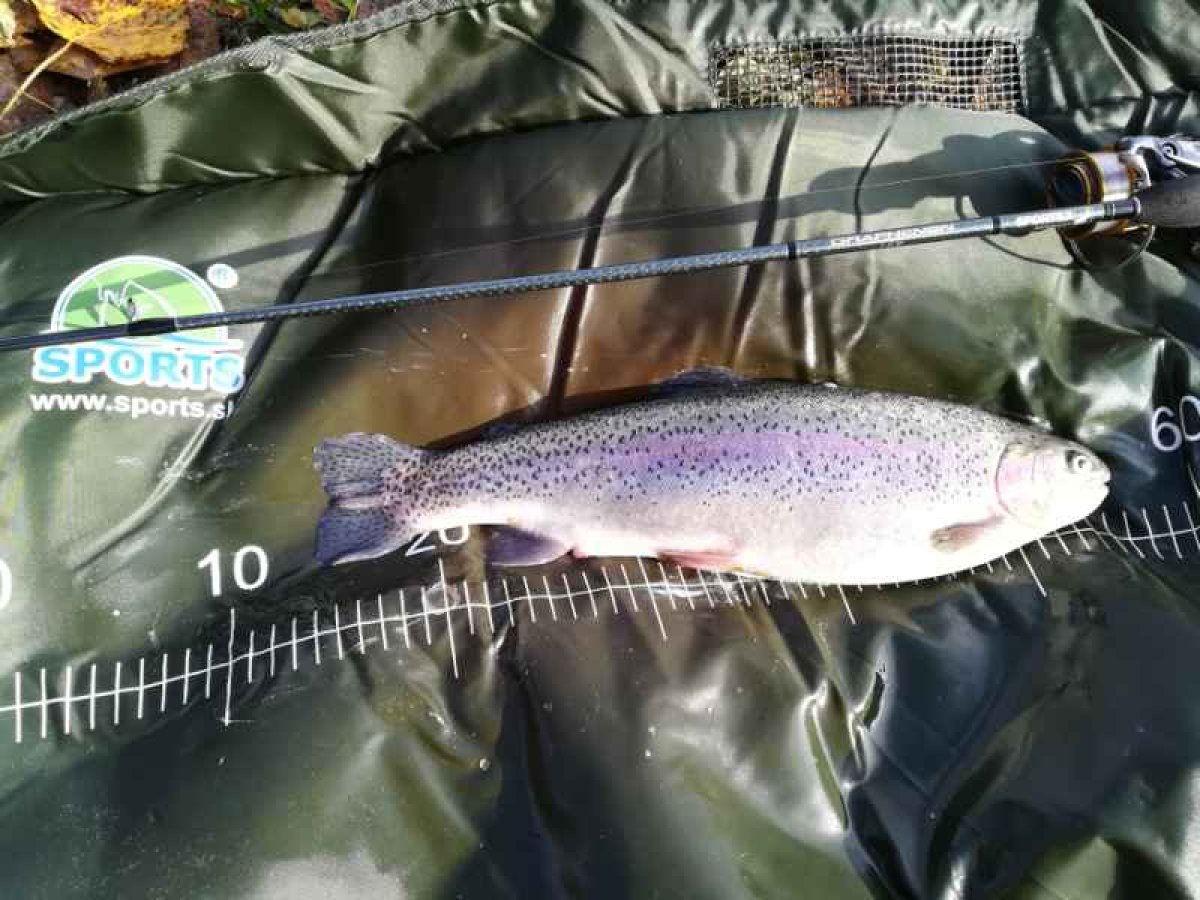 Graphenon Ultra Light 2-díl 210cm / 1-7g