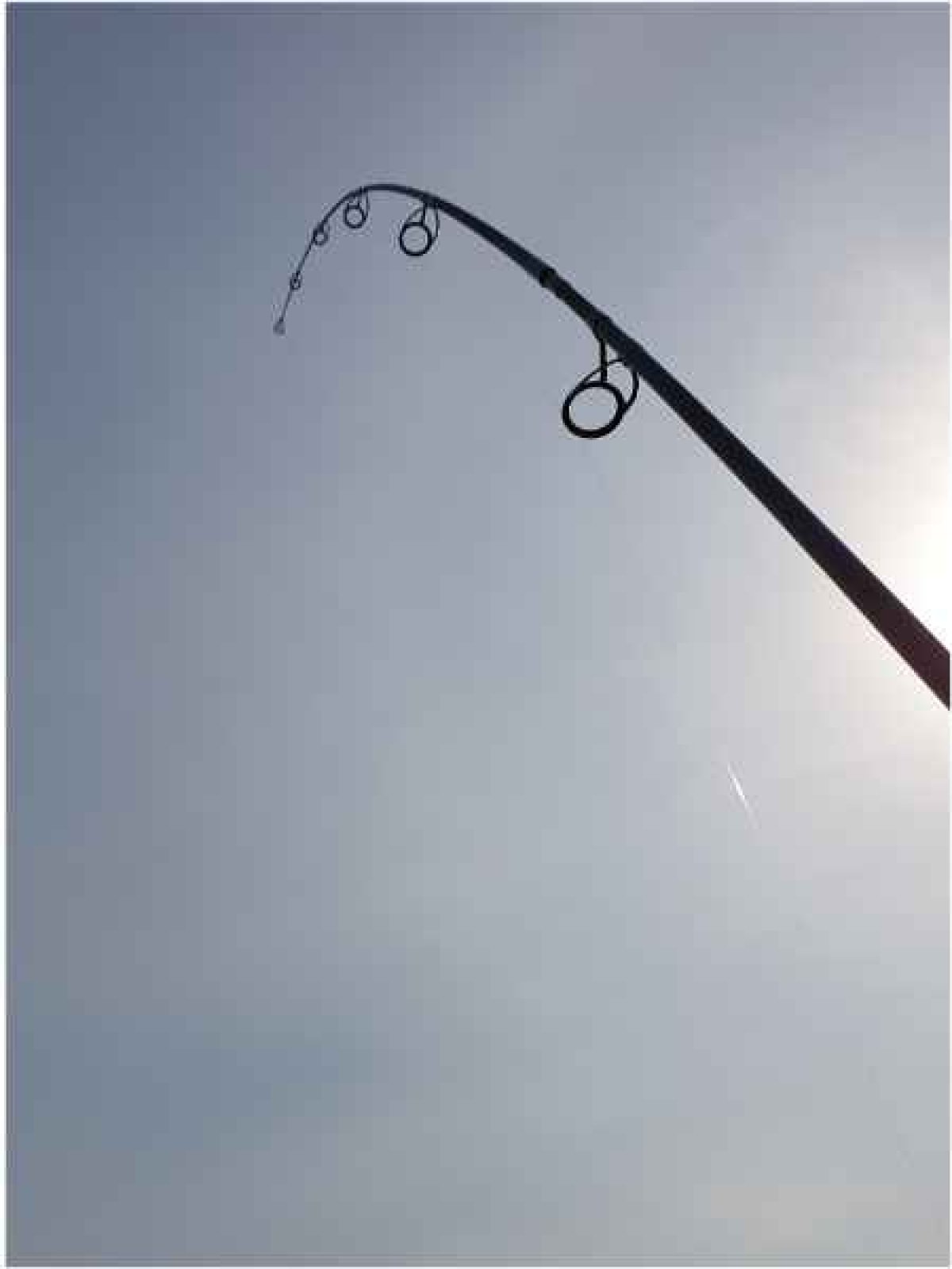 Kaprové pruty Sportex Catapult CS-3 Carp 2-díl 2ks: 12ft 3,00lbs, 366cm M80 Kaprové pruty Sportex Catapult CS-3 Carp 2-díl 2ks: 12ft 3,00lbs, 366cm M80