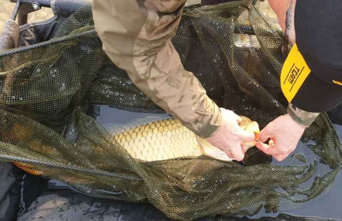 Kaprový podběrák s dělenou 2m ručkou - 3ks